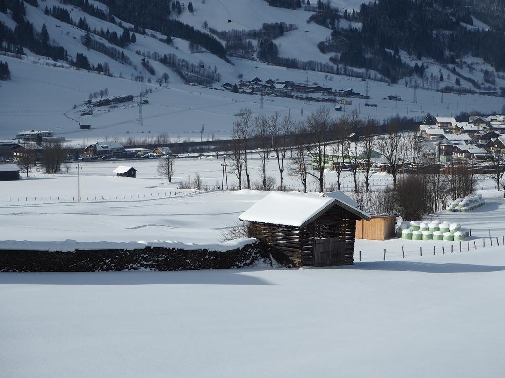 Landhaus Sarah Apartment Dorfgastein Exterior photo